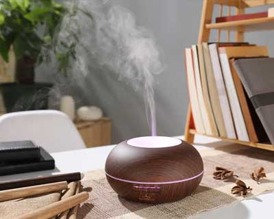 Scheme development of intelligent incense sprayer